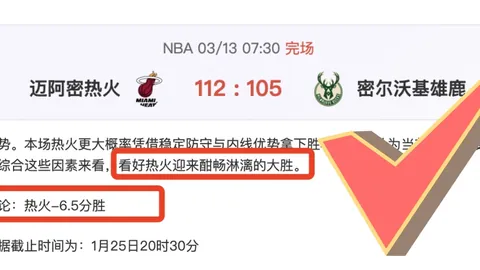WNBA精彩对决：女武神VS水银分析